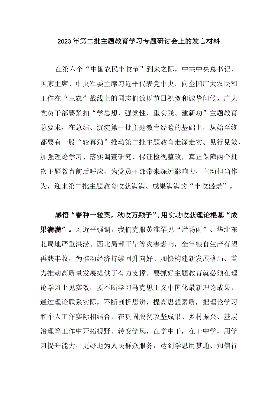 2023年第二批主题教育学习专题研讨会上的发言材料.docx_第1页