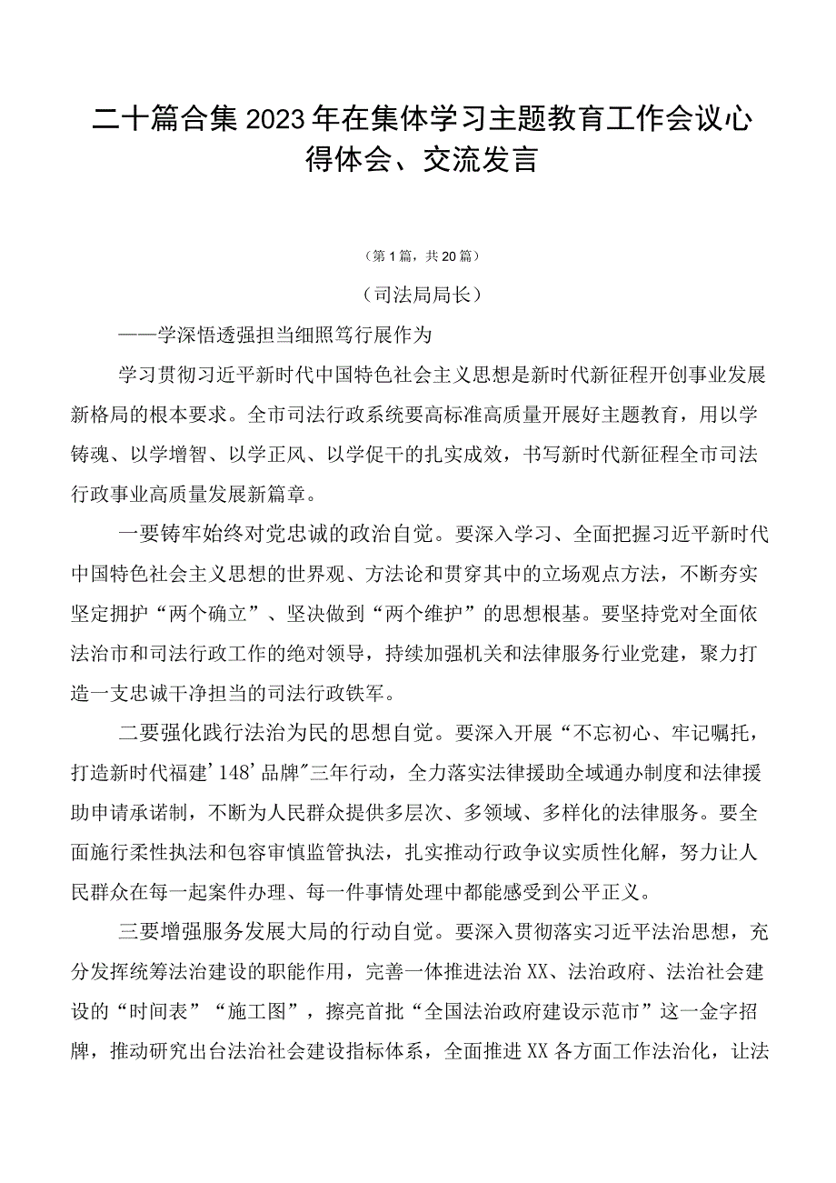 二十篇合集2023年在集体学习主题教育工作会议心得体会、交流发言.docx_第1页