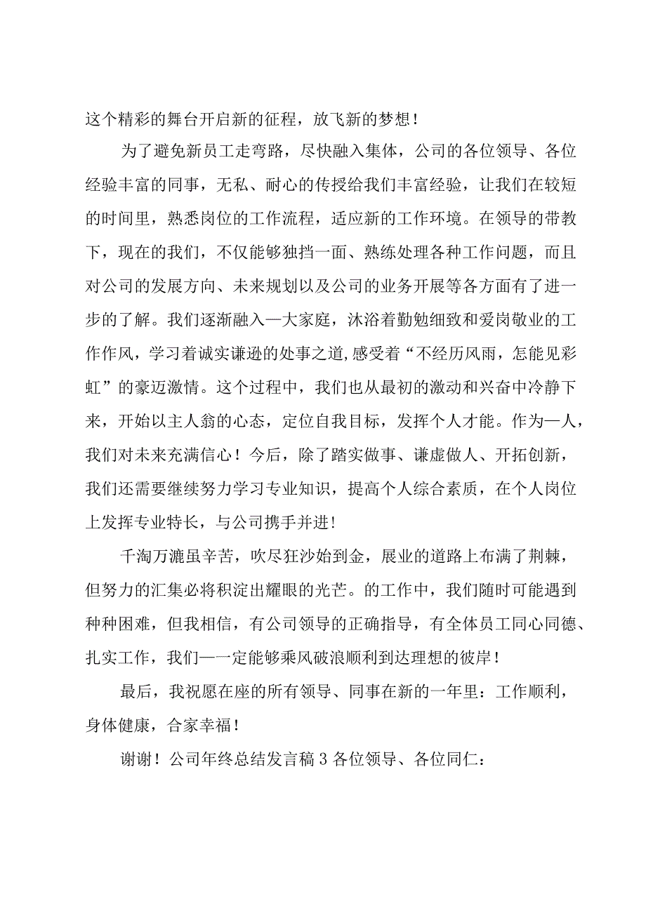 公司年终总结发言稿.docx_第3页