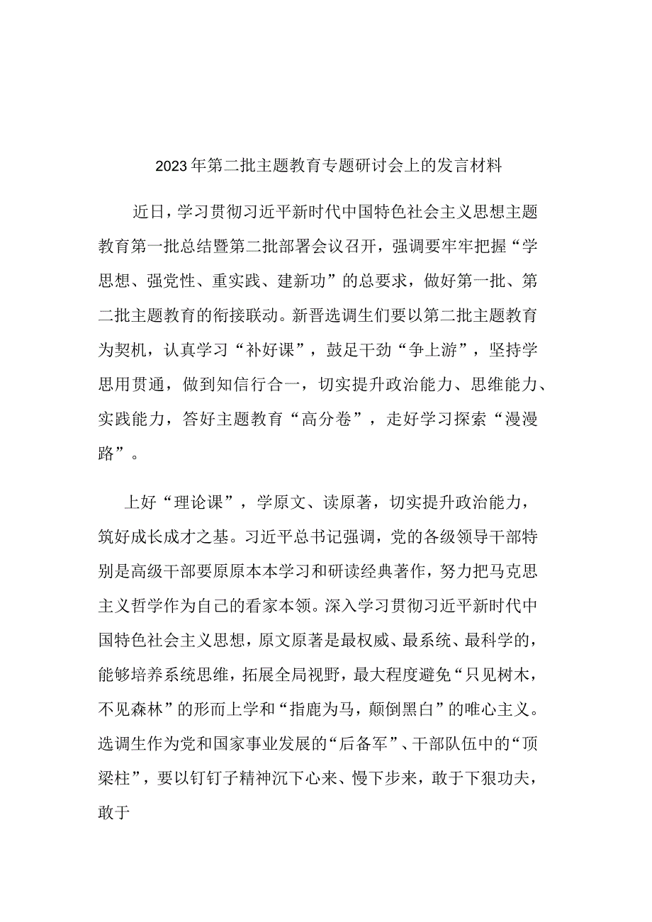 2023年第二批主题教育专题研讨会上的发言材料.docx_第1页