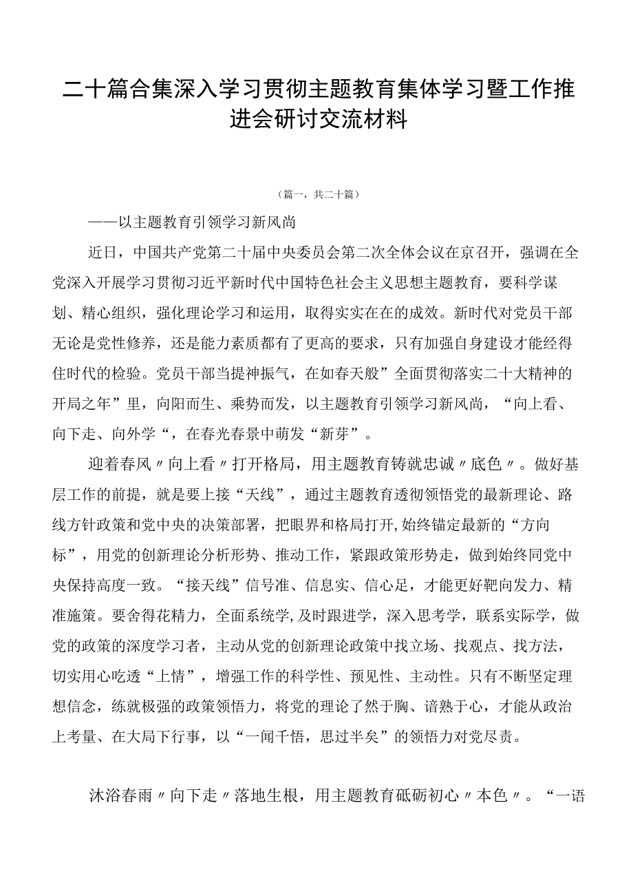 二十篇合集深入学习贯彻主题教育集体学习暨工作推进会研讨交流材料.docx_第1页