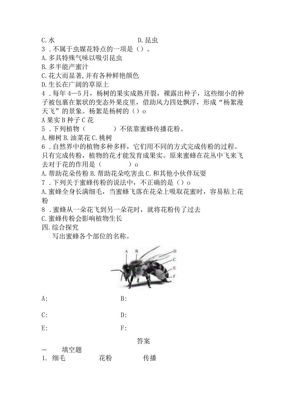 3-10蜜蜂传粉 冀人版科学三年级下册同步练习.docx_第2页