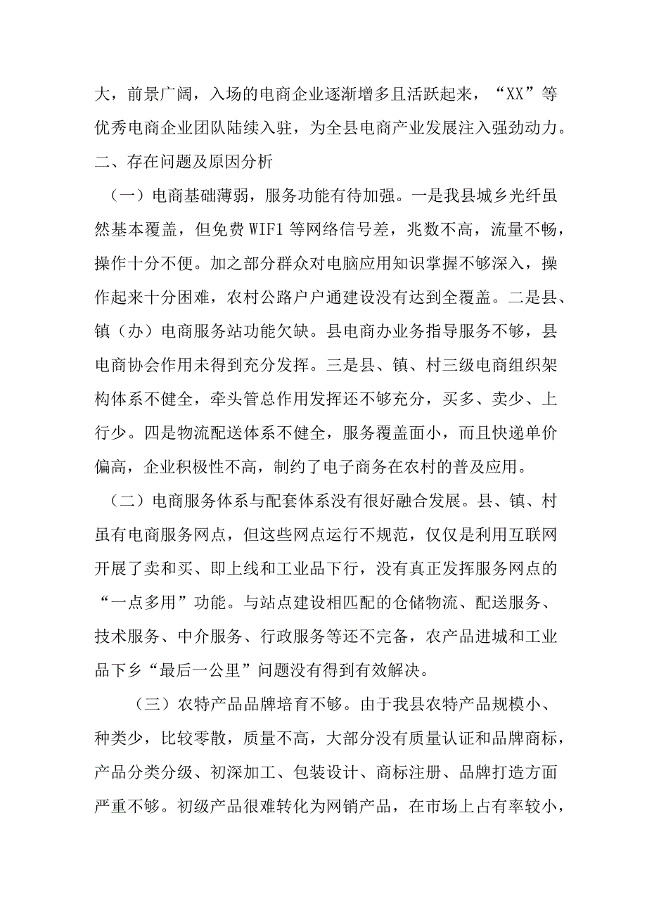 关于某县电子商务发展情况的调研报告材料.docx_第2页