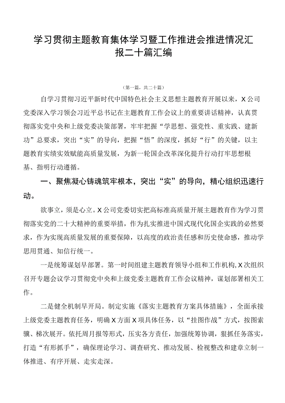 学习贯彻主题教育集体学习暨工作推进会推进情况汇报二十篇汇编.docx_第1页