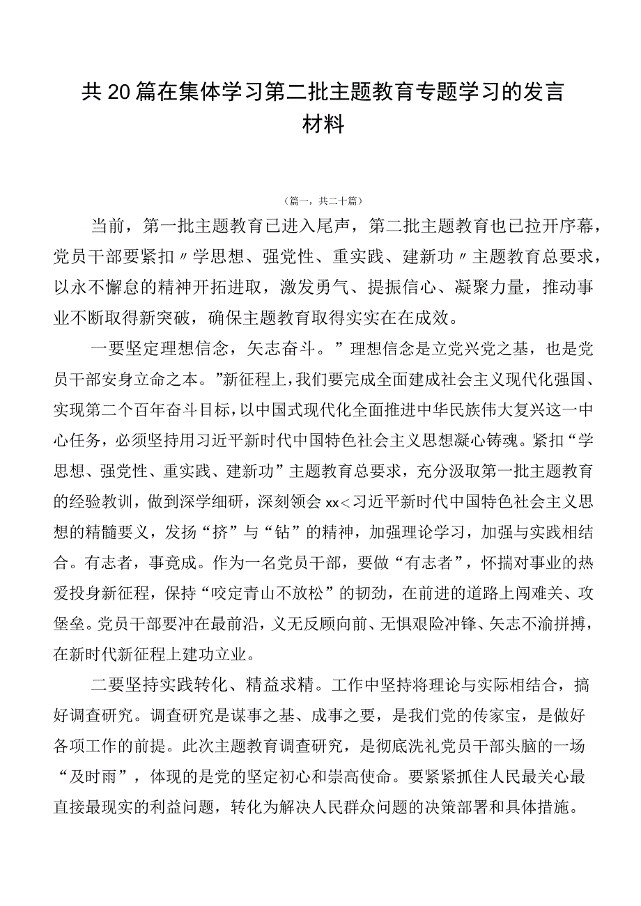 共20篇在集体学习第二批主题教育专题学习的发言材料.docx_第1页