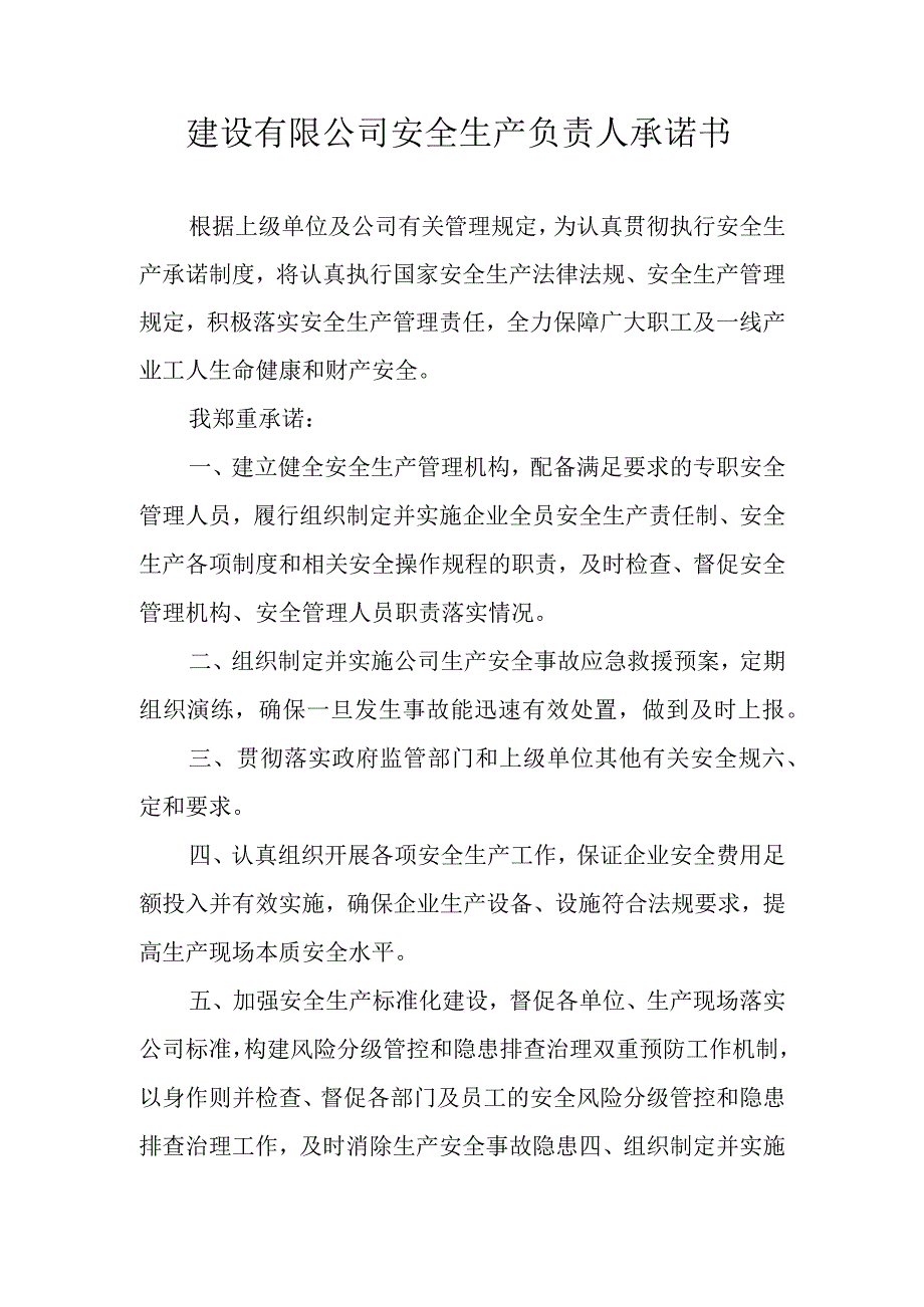 建设有限公司安全生产负责人承诺书.docx_第1页