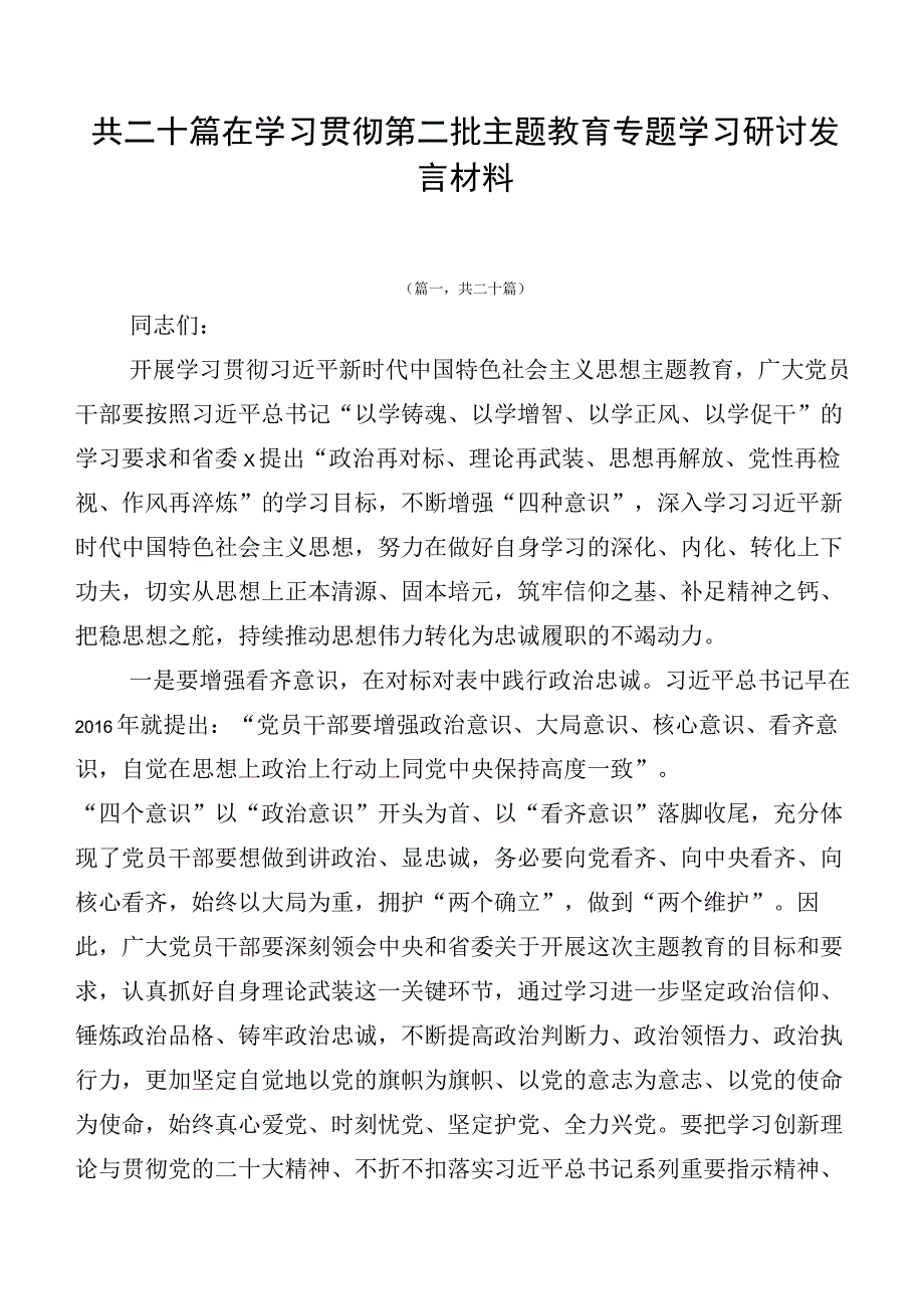 共二十篇在学习贯彻第二批主题教育专题学习研讨发言材料.docx_第1页