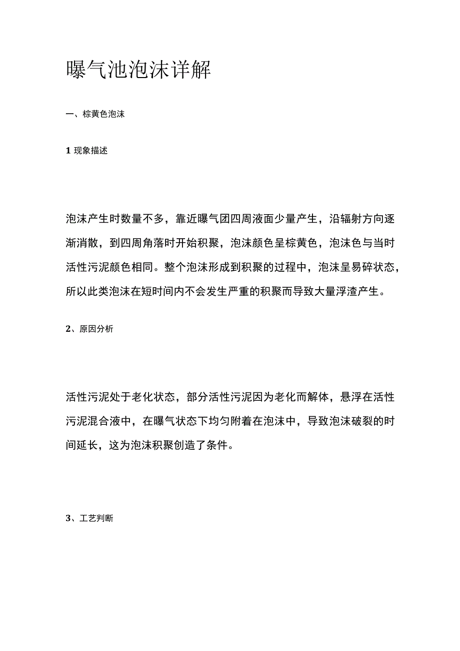 曝气池泡沫详解.docx_第1页