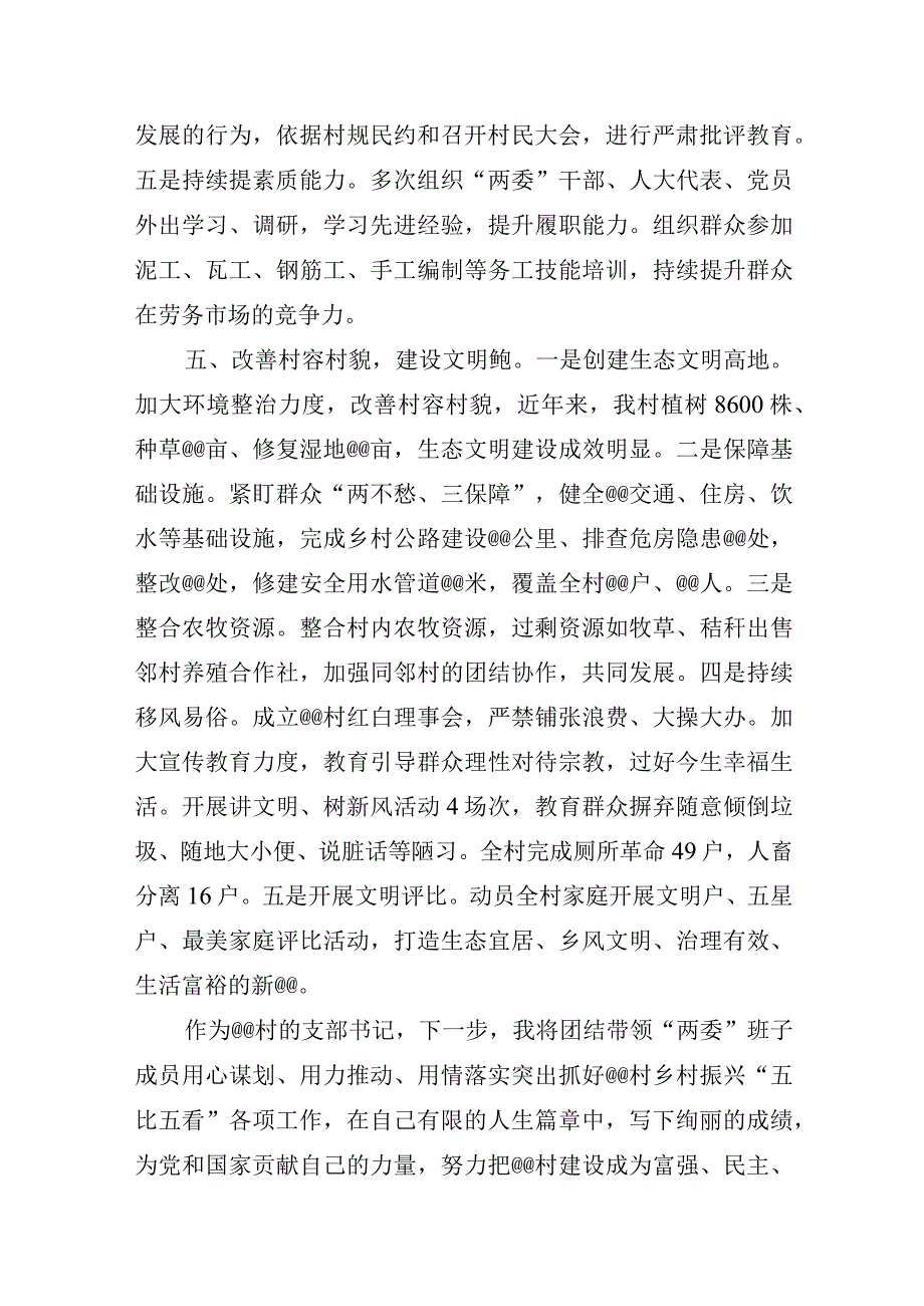 村党支部书记述职报告.docx_第3页