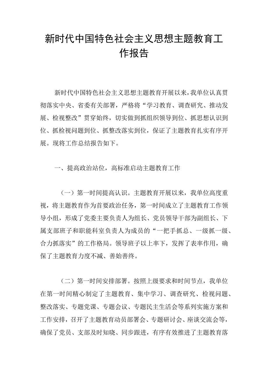 新时代中国特色社会主义思想主题教育工作报告.docx_第1页