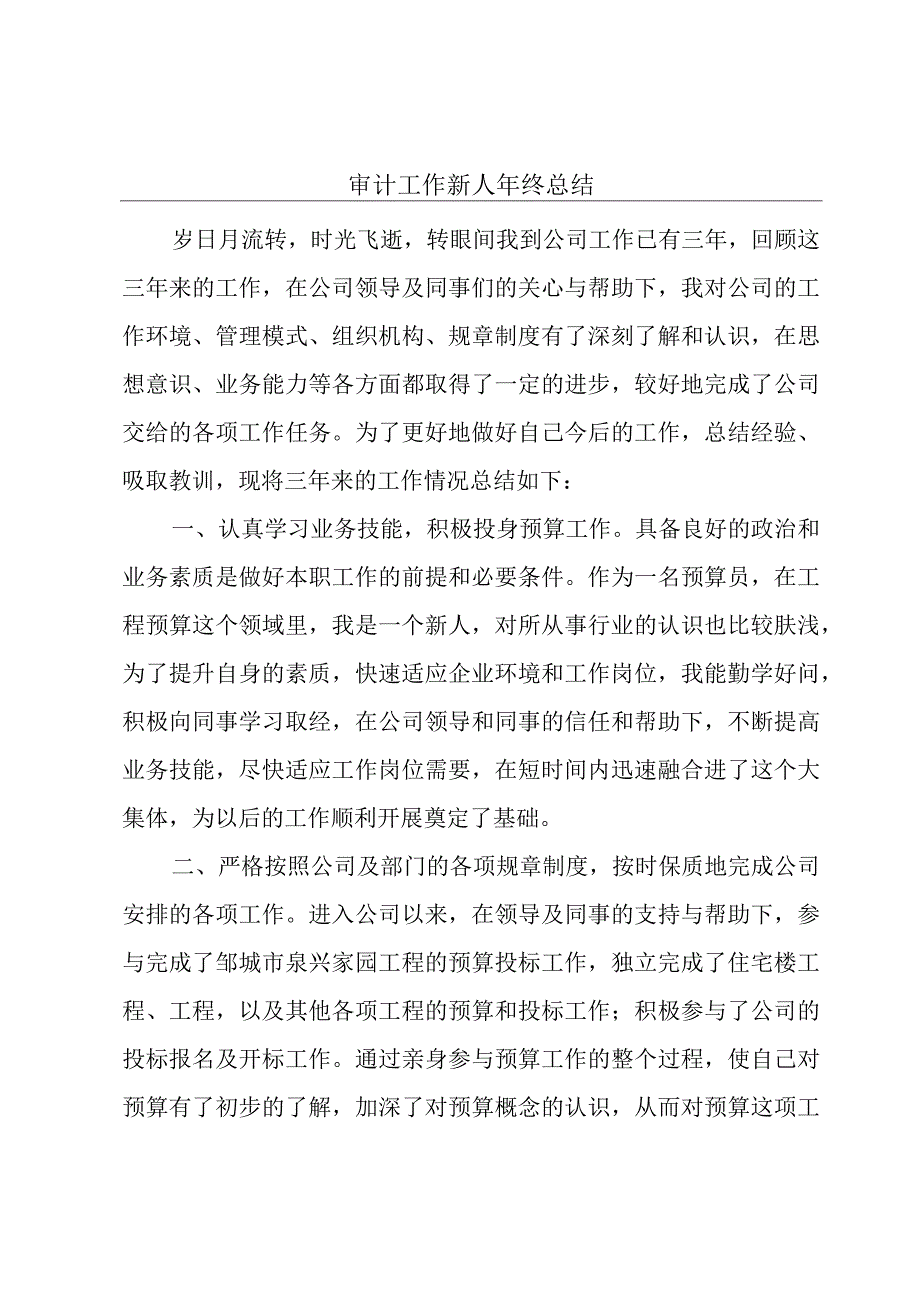 审计工作新人年终总结.docx_第1页