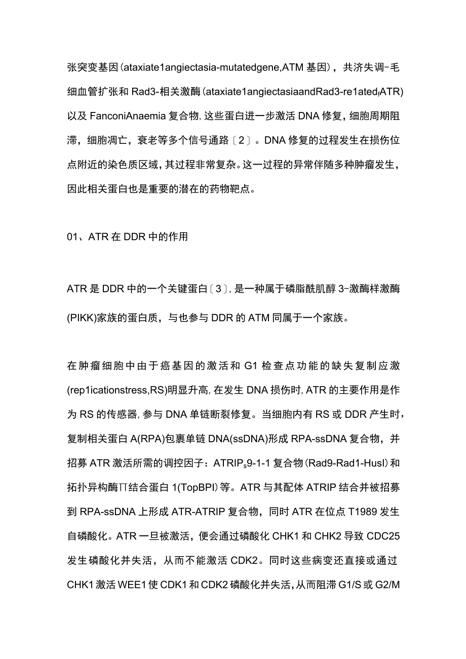 最新：ATR抑制剂抗肿瘤治疗的研究新进展.docx_第2页