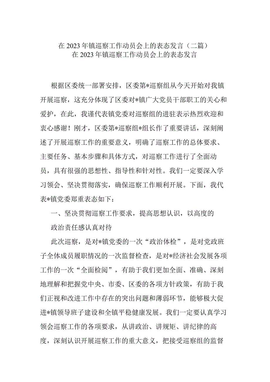 在2023年镇巡察工作动员会上的表态发言(二篇).docx_第1页