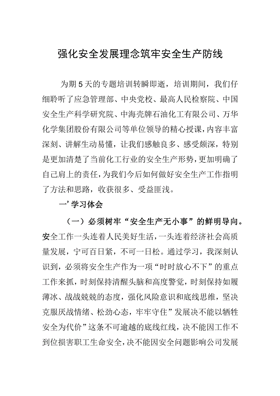 安全生产研讨发言.docx_第1页