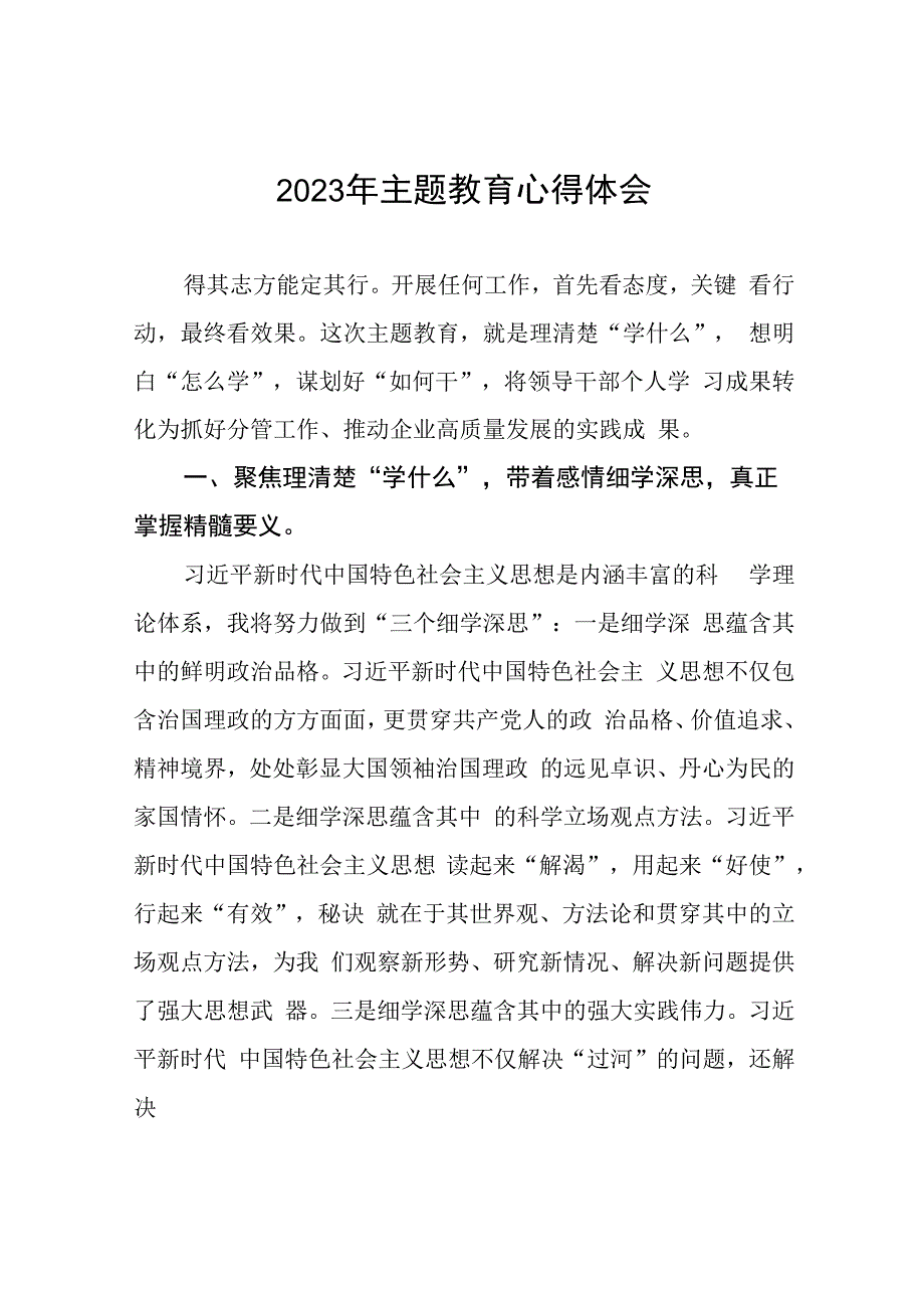 (六篇)2023年集团公司党委书记关于主题教育心得体会.docx_第1页