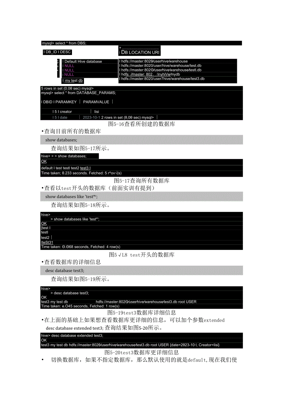 Hadoop生态系统及开发 实训手册 实训10 数据定义操作DDL.docx_第3页