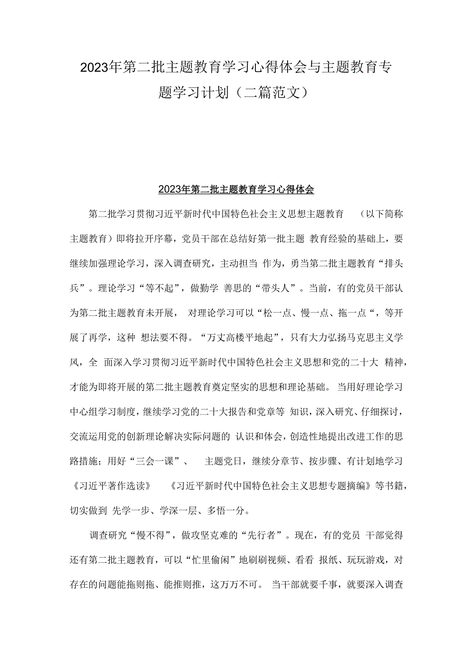 2023年第二批主题教育学习心得体会与主题教育专题学习计划（二篇范文）.docx_第1页