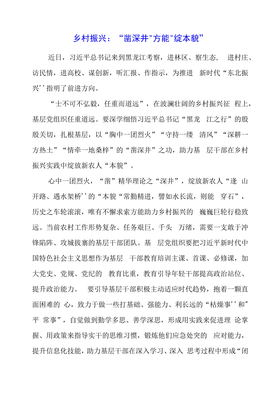 2023年党课材料：乡村振兴：“凿深井”方能“绽本貌”.docx_第1页