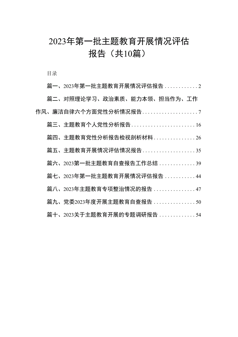 2023年第一批主题教育开展情况评估报告（共10篇）.docx_第1页