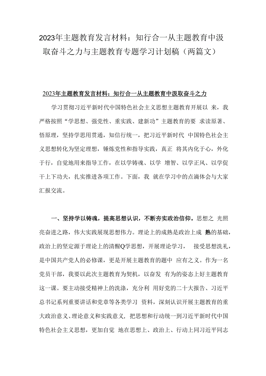 2023年主题教育发言材料：知行合一从主题教育中汲取奋斗之力与主题教育专题学习计划稿（两篇文）.docx_第1页