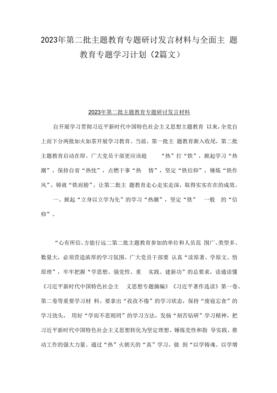 2023年第二批主题教育专题研讨发言材料与全面主题教育专题学习计划（2篇文）.docx_第1页