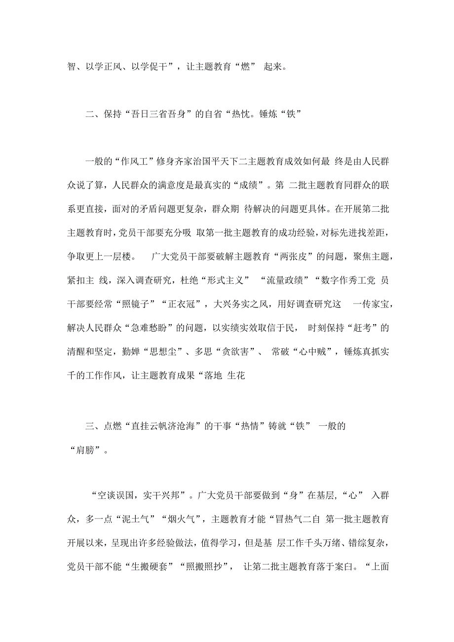 2023年第二批主题教育专题研讨发言材料与全面主题教育专题学习计划（2篇文）.docx_第2页