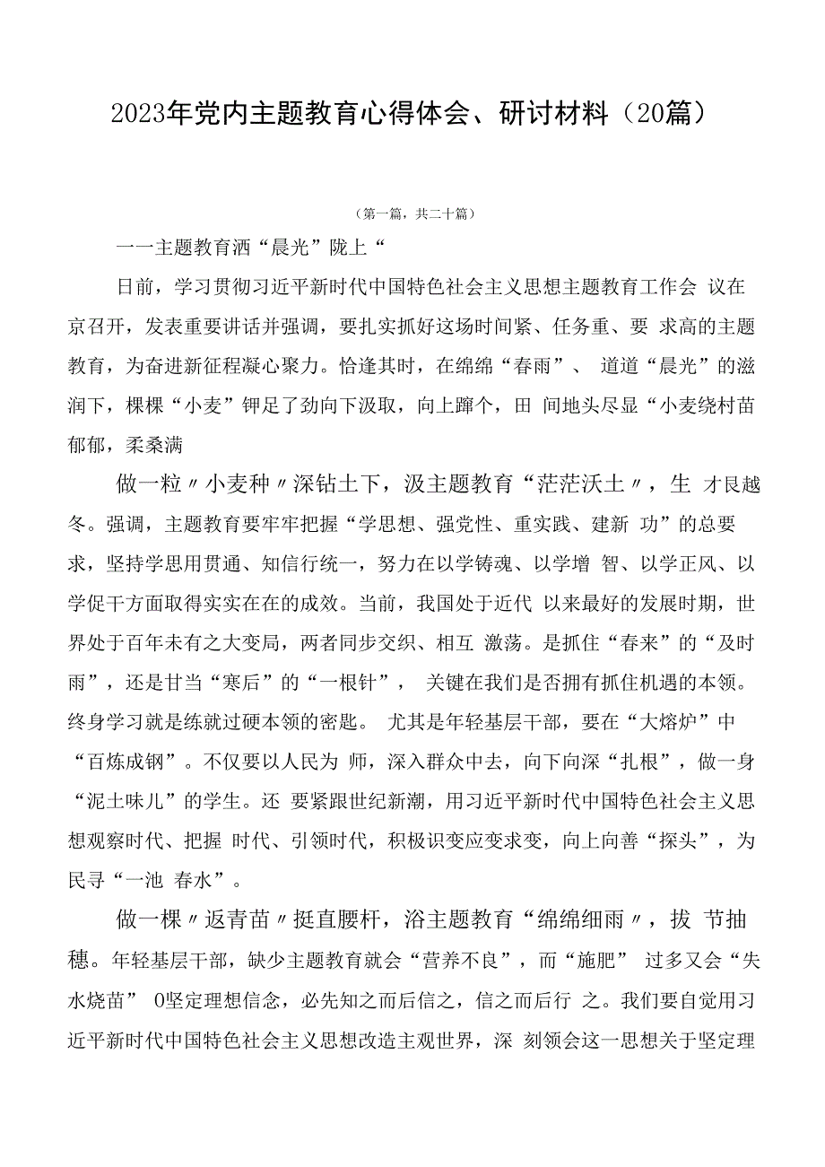 2023年党内主题教育心得体会、研讨材料（20篇）.docx_第1页