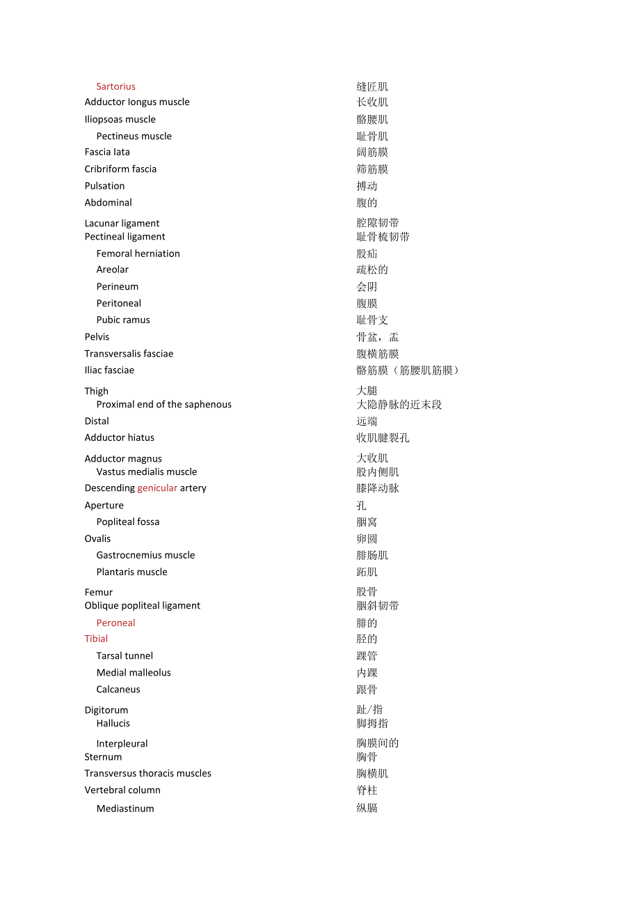 局部解剖学－单词.docx_第2页