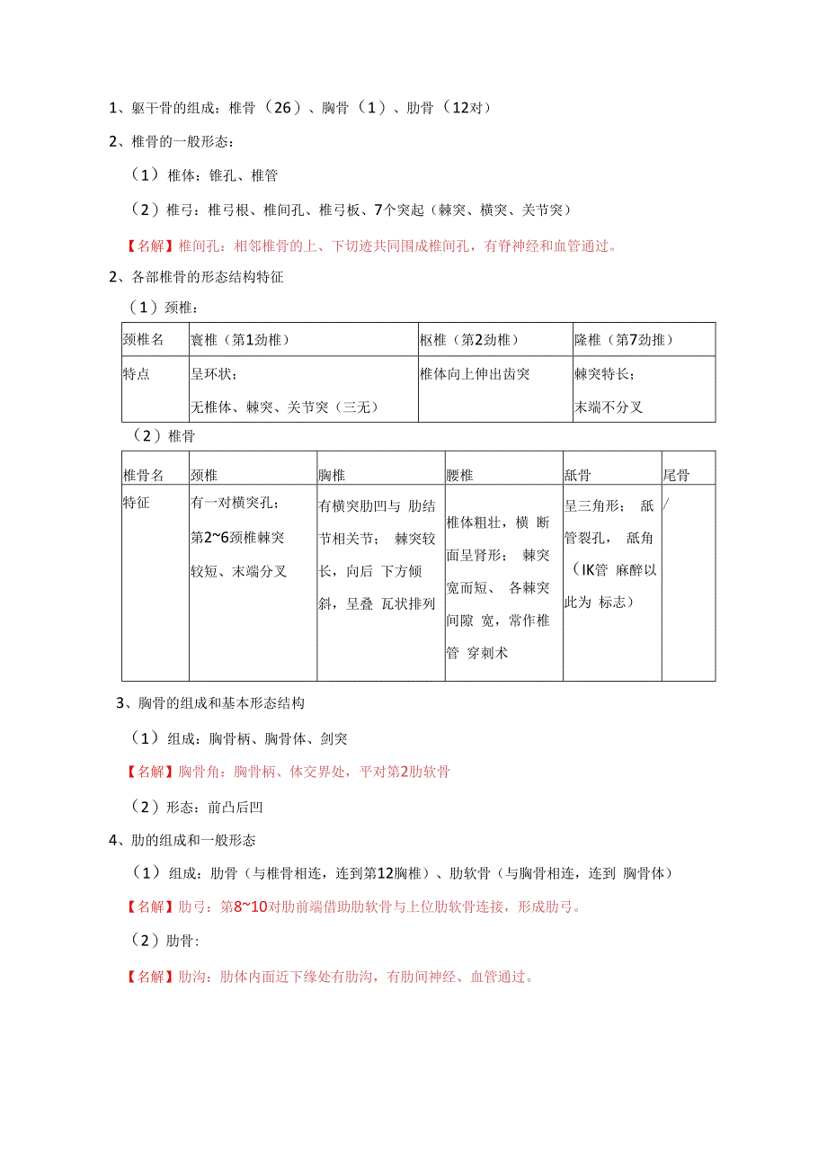 系统解剖学学习资料：运动系统三章整理.docx_第2页