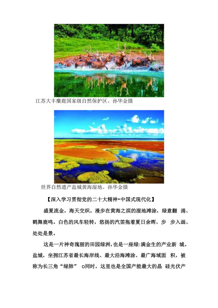 黄海之滨绿满金生——江苏盐城绘就人与自然和谐共生的新画卷.docx_第2页