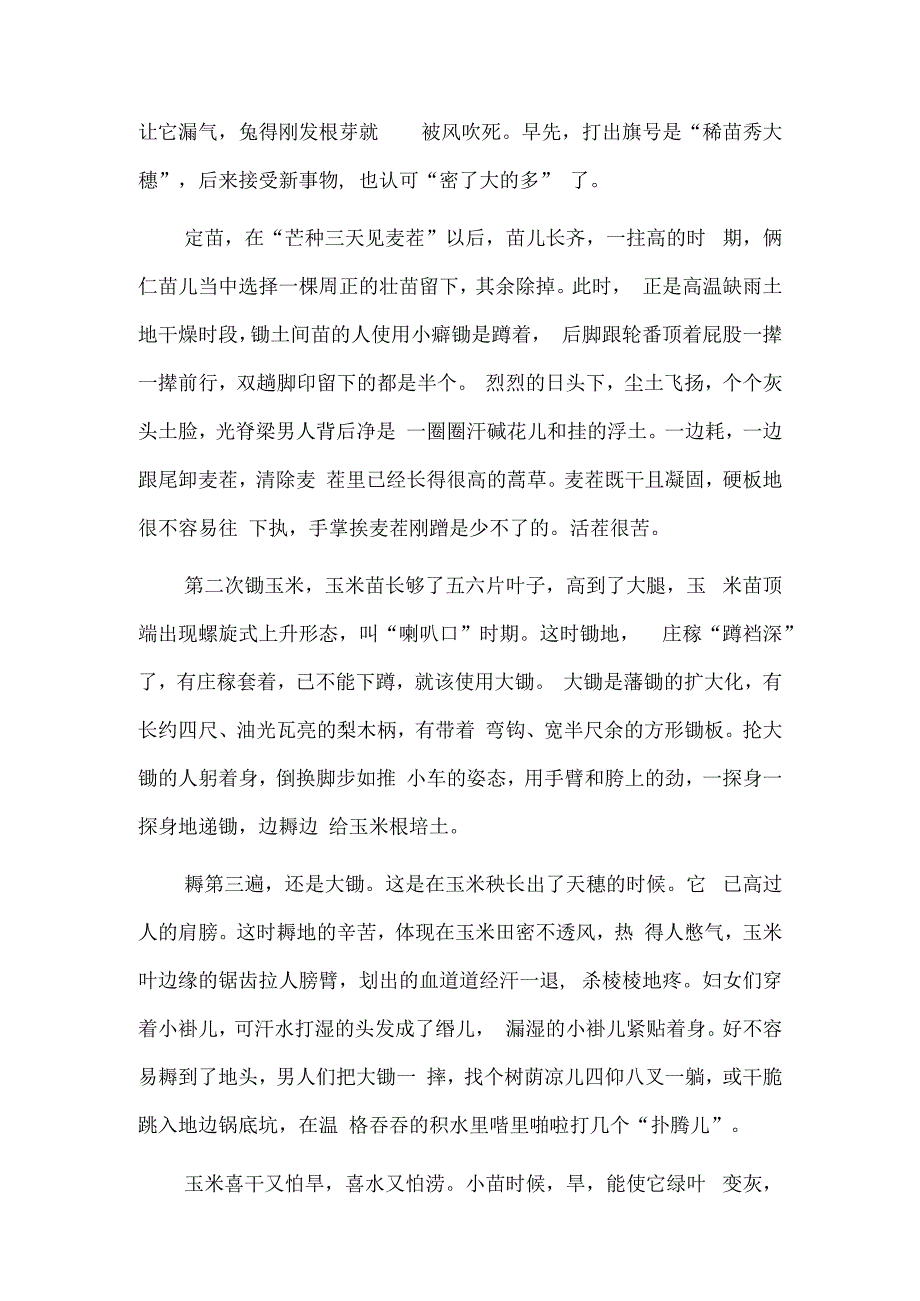 寻常的玉米当家的粮.docx_第3页