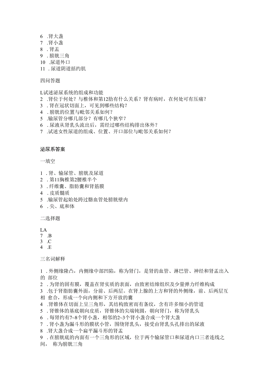 系统解剖学学习资料：解剖03-泌尿系.docx_第2页