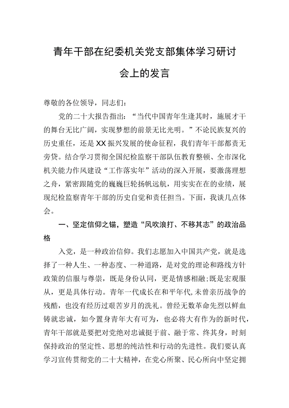 2023年青年干部在纪委机关党支部集体学习研讨会上的发言.docx_第1页