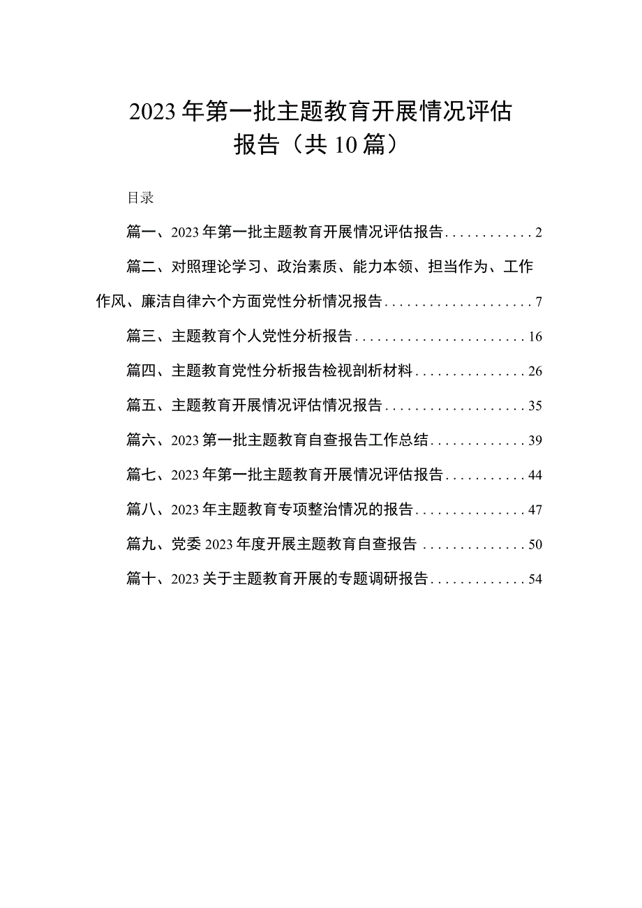 2023年第一批主题教育开展情况评估报告（共10篇）.docx_第1页