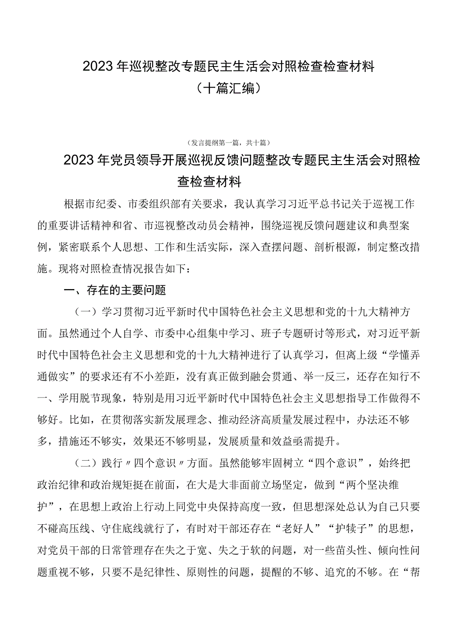 2023年巡视整改专题民主生活会对照检查检查材料（十篇汇编）.docx_第1页