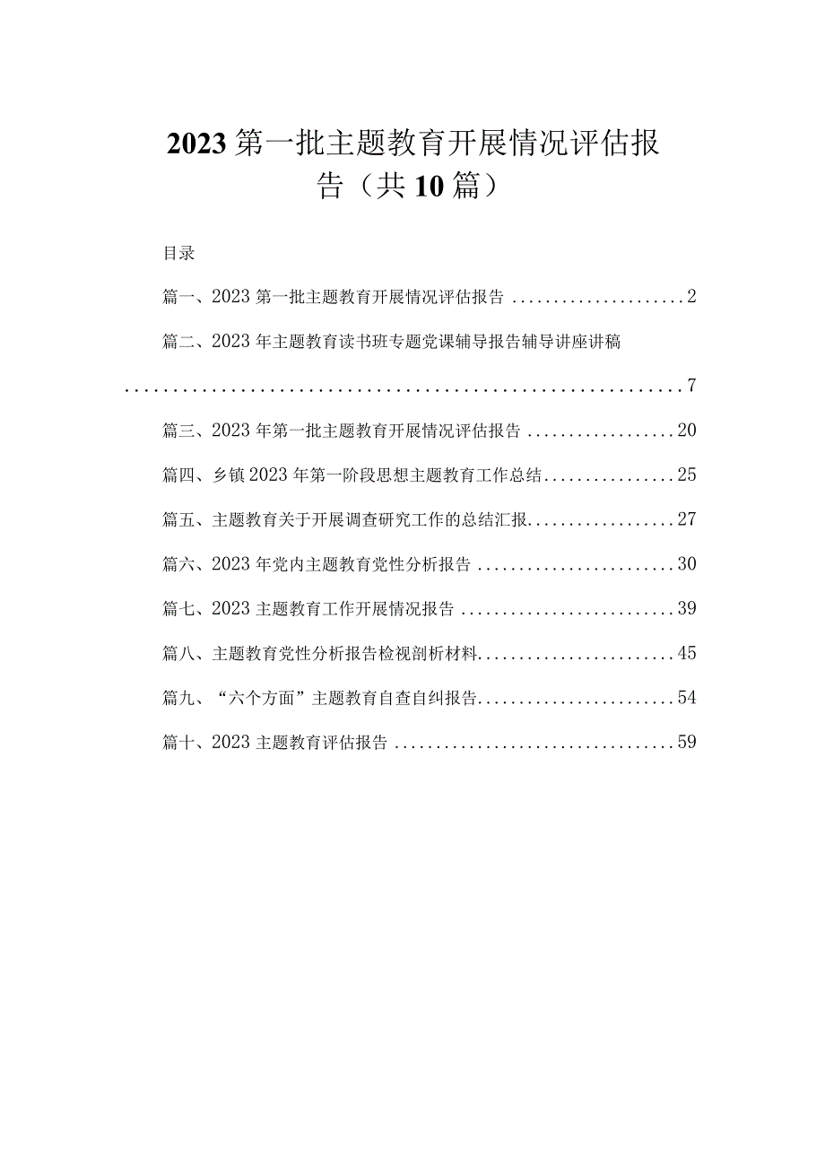 2023第一批主题教育开展情况评估报告（共10篇）.docx_第1页