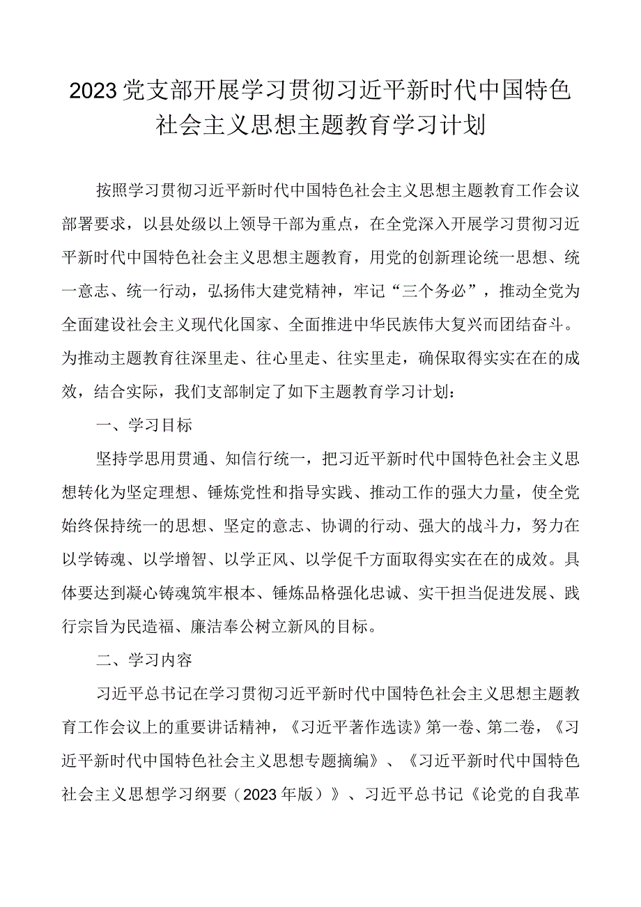 2023党支部开展主题教育学习计划学习方案.docx_第1页