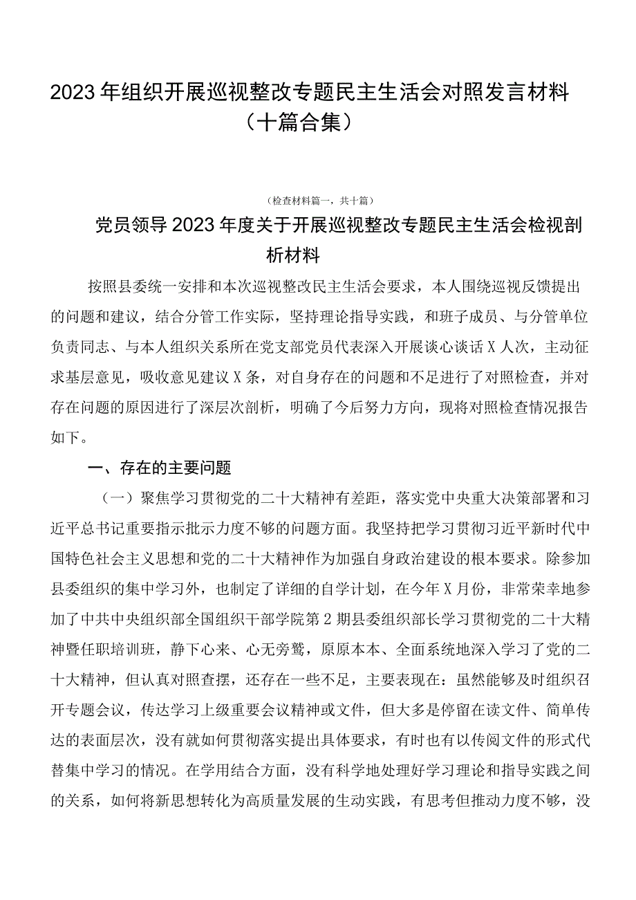 2023年组织开展巡视整改专题民主生活会对照发言材料（十篇合集）.docx_第1页