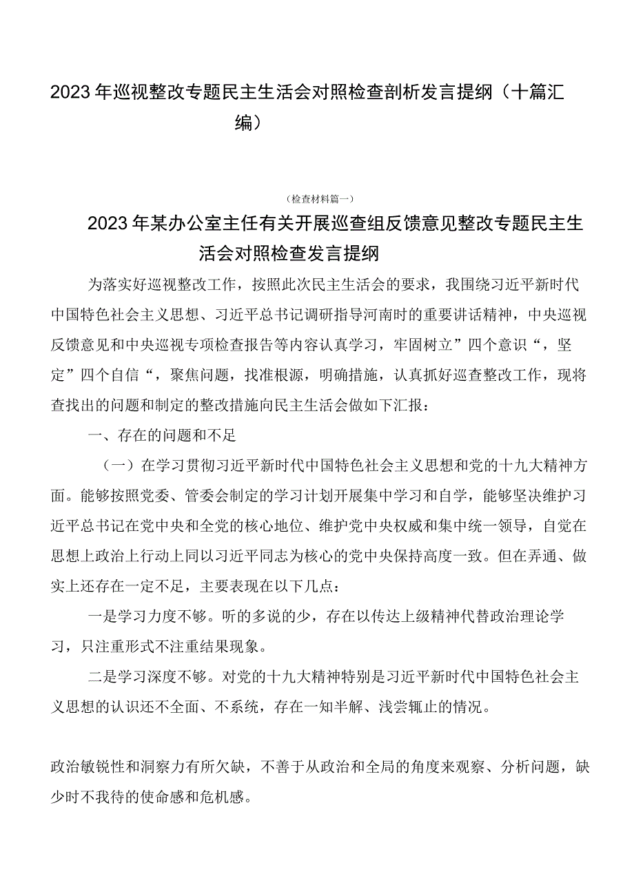 2023年巡视整改专题民主生活会对照检查剖析发言提纲（十篇汇编）.docx_第1页