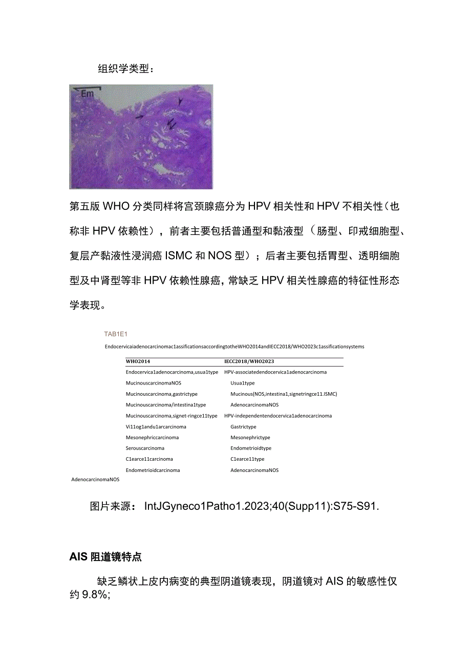 2023宫颈腺性病变的阴道镜检查.docx_第3页