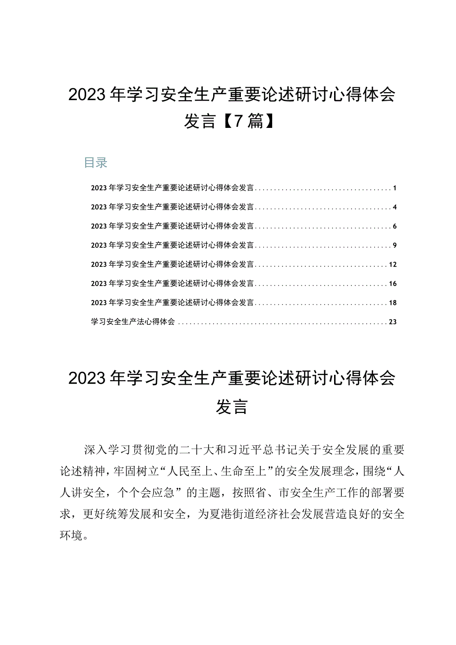 2023年学习安全生产重要论述研讨心得体会发言【7篇】.docx_第1页