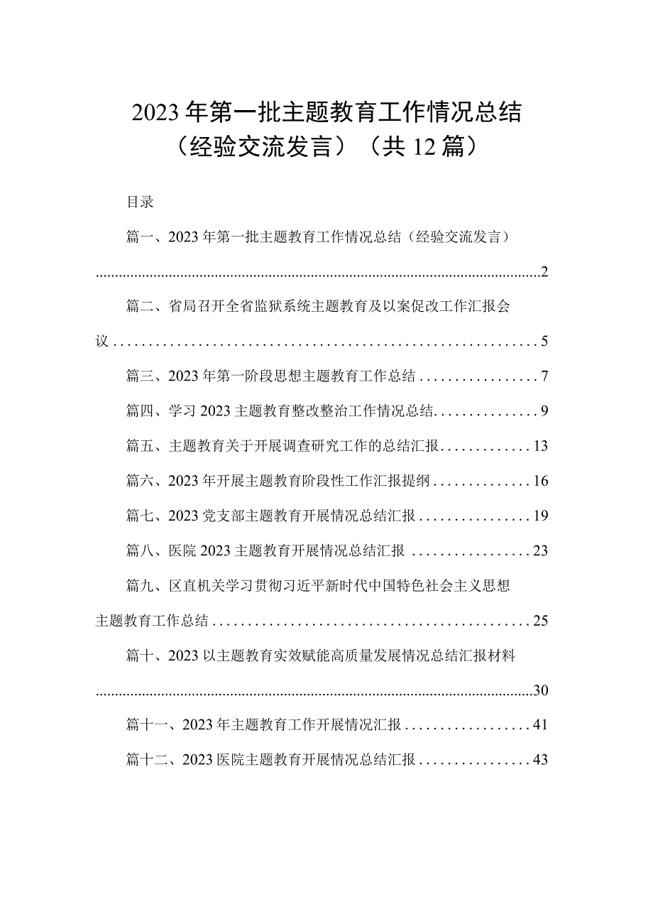 2023年第一批主题教育工作情况总结（经验交流发言）（共12篇）.docx_第1页