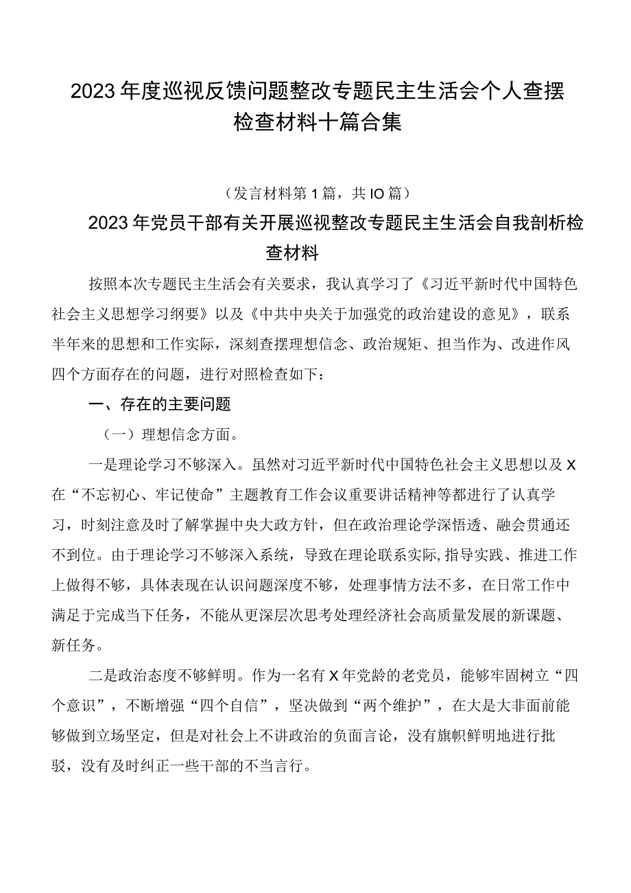 2023年度巡视反馈问题整改专题民主生活会个人查摆检查材料十篇合集.docx_第1页