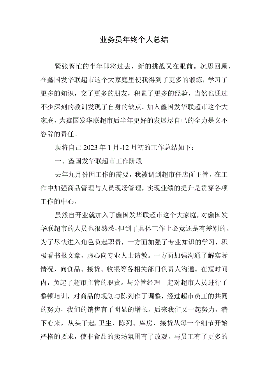 2023年业务员年终个人总结.docx_第1页