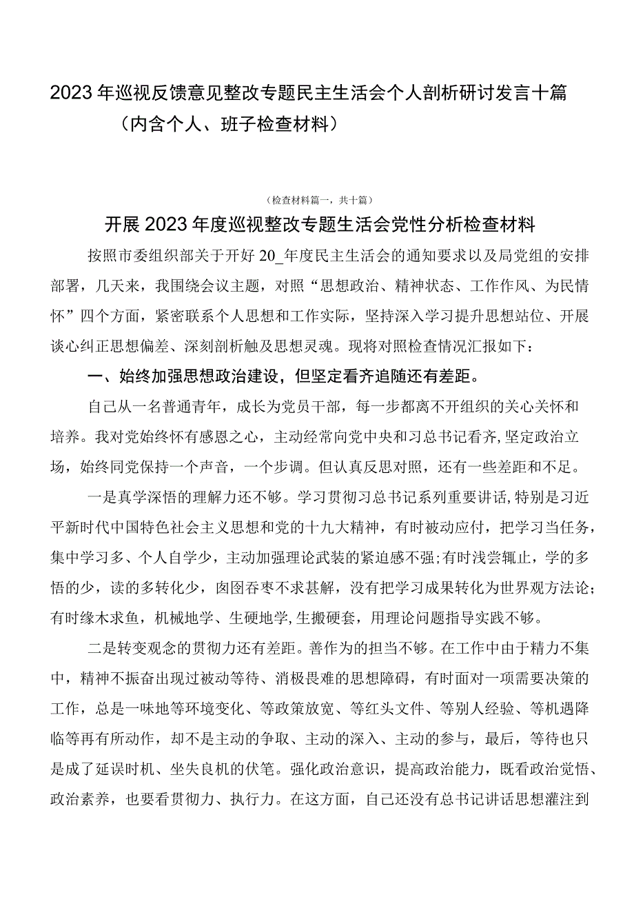 2023年巡视反馈意见整改专题民主生活会个人剖析研讨发言十篇.docx_第1页