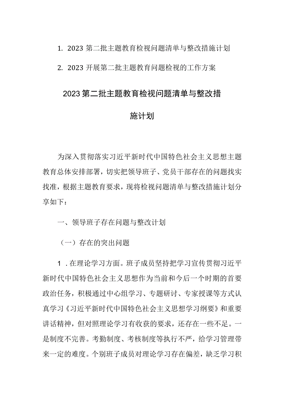 两篇：2023第二批主题教育检视问题清单与整改措施计划及方案范文.docx_第1页