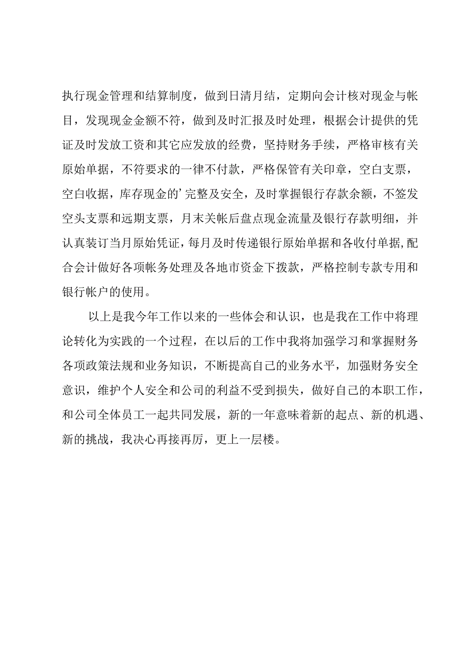 出纳年终总结【经典】.docx_第3页