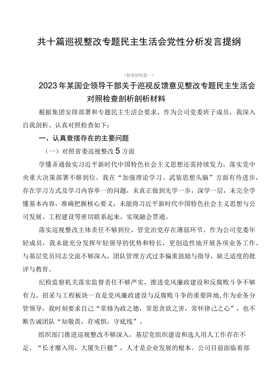 共十篇巡视整改专题民主生活会党性分析发言提纲.docx_第1页