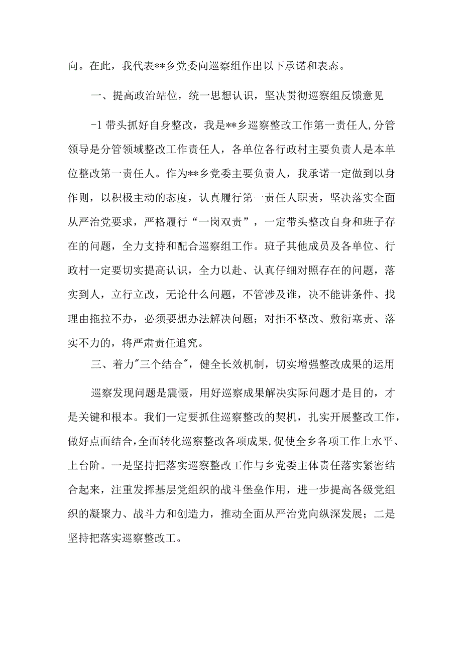 党支部巡查反馈表态发言七篇.docx_第3页