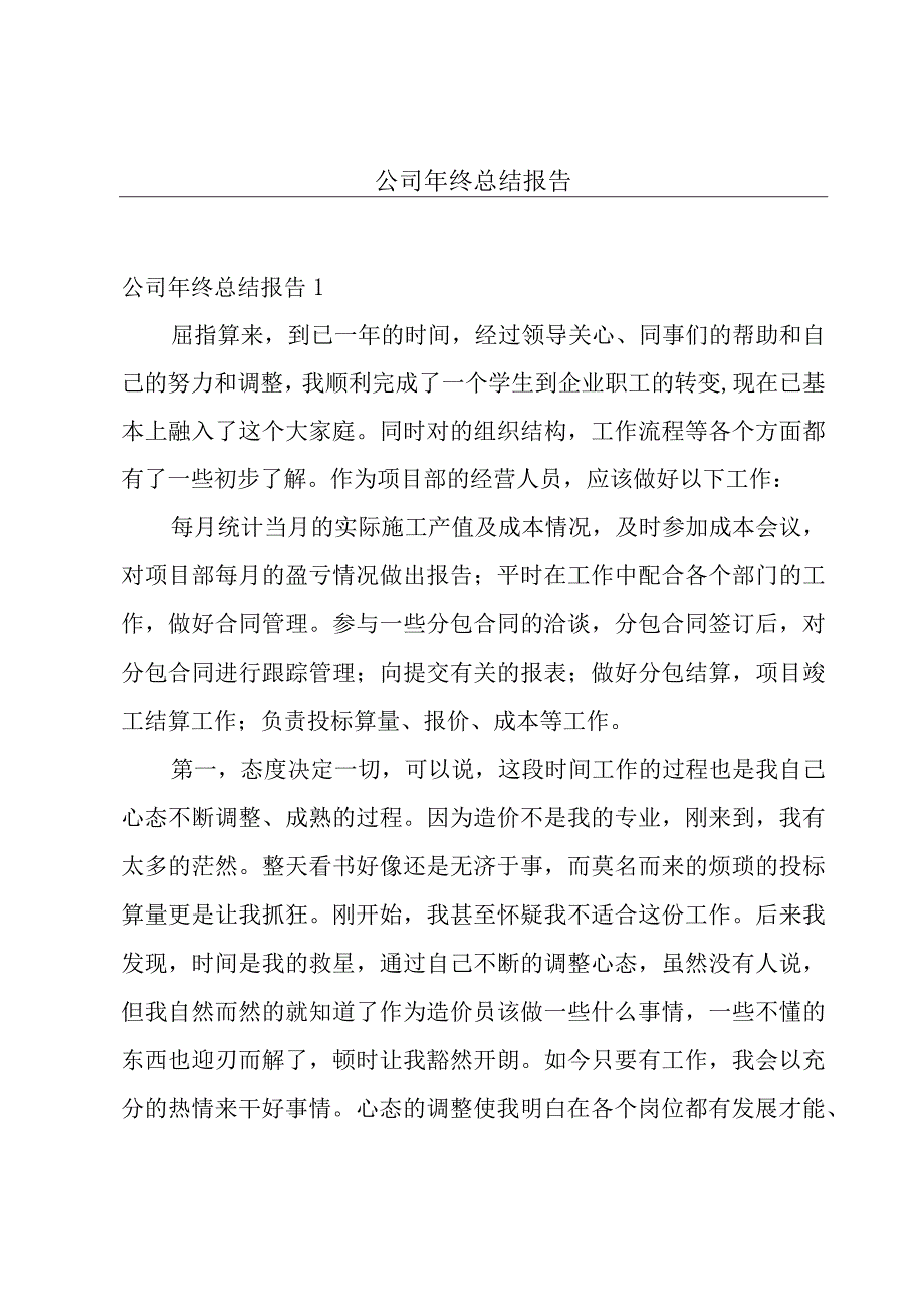 公司年终总结报告.docx_第1页